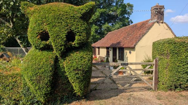 Owls Lodge